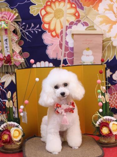 20240126ゆわちゃん